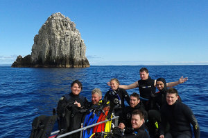 Sugarloaf - Poor Knights Islands