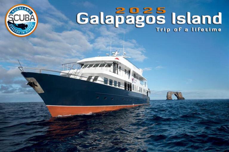 Auckland Scuba Dive and Snorkelling Dive Shops, Albany and Silverdale