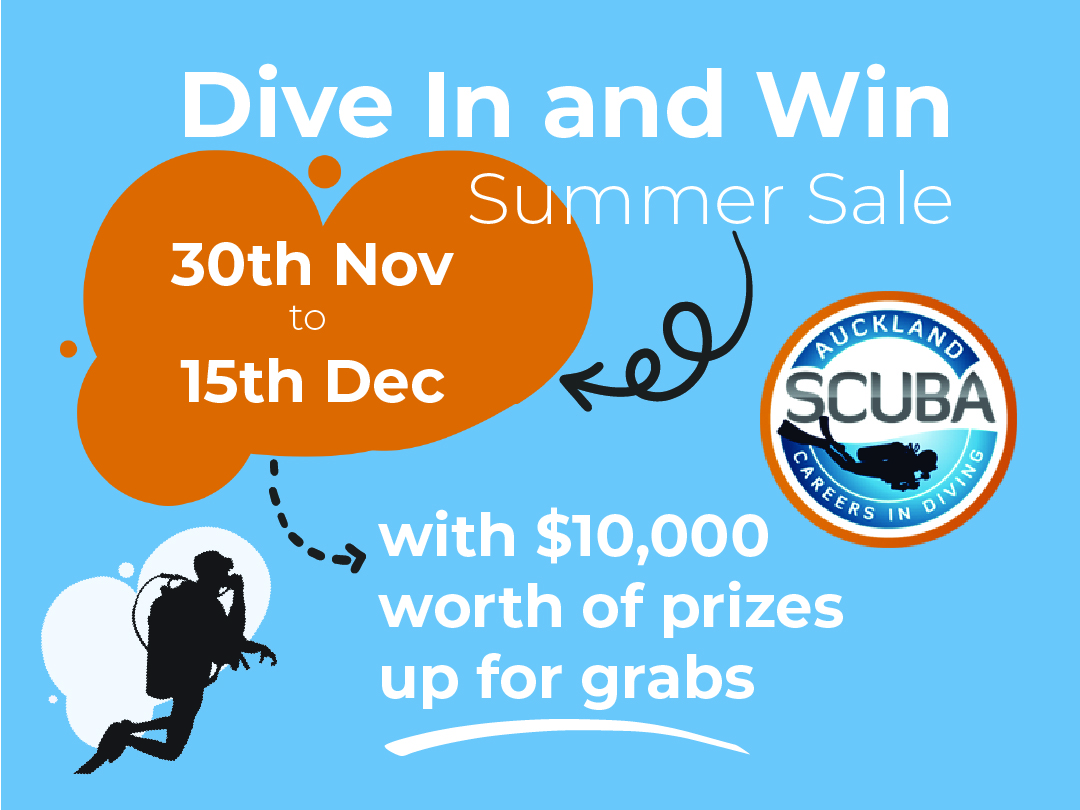 Auckland Scuba Dive Shop Auckland Scuba Divers