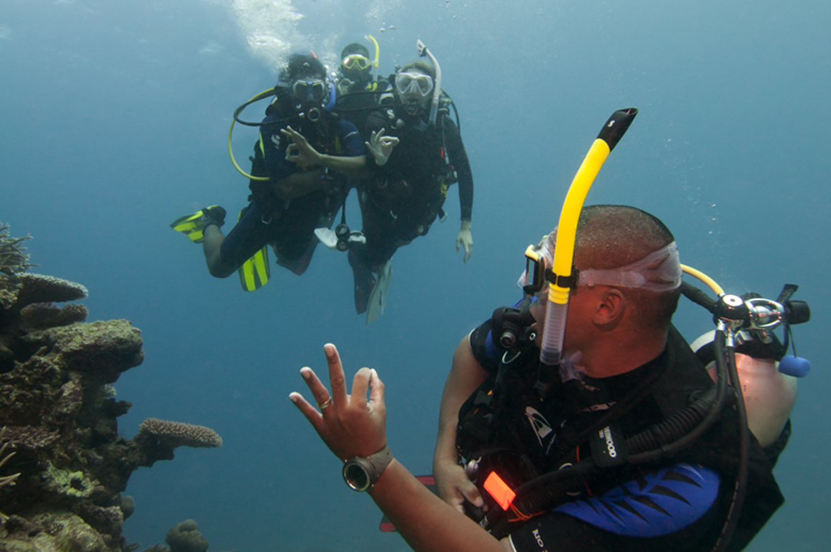 National Certificate in Diving - Leadership