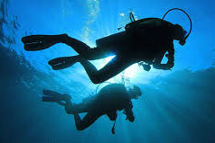 National Certificate in Diving - Leadership