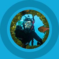 Auckland Scuba